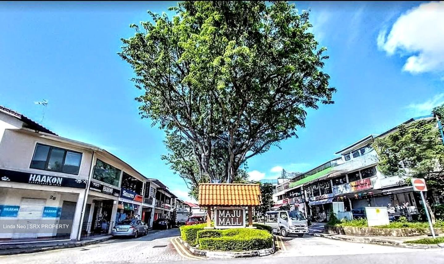 Serangoon Garden Village (D19), Shop House #594030621